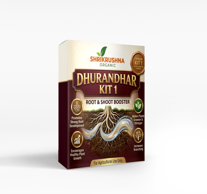 dhurandhar 1 kit (धुरंधर 1 किट )