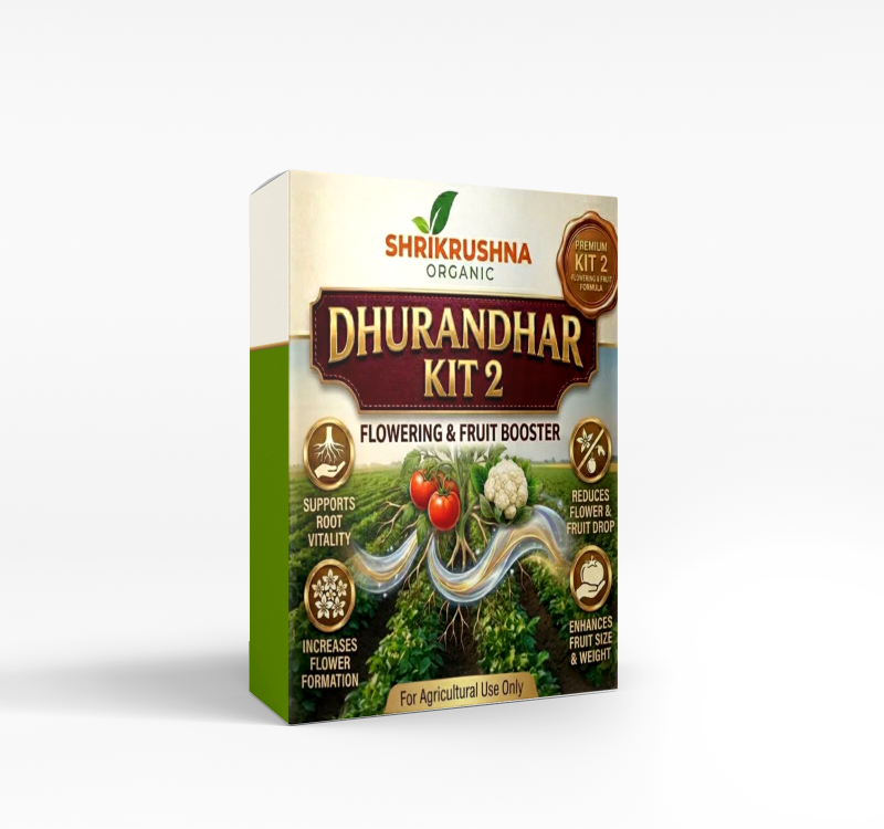 dhurandhar 2 kit (धुरंधर 2 किट)